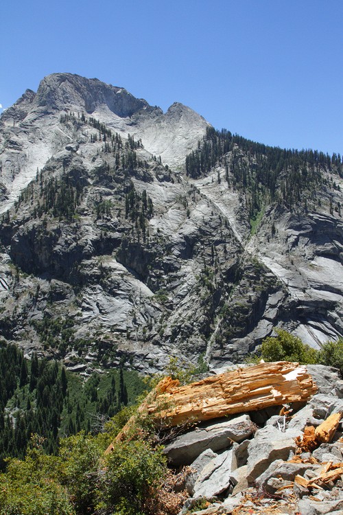 View from the High Sierra Trail
