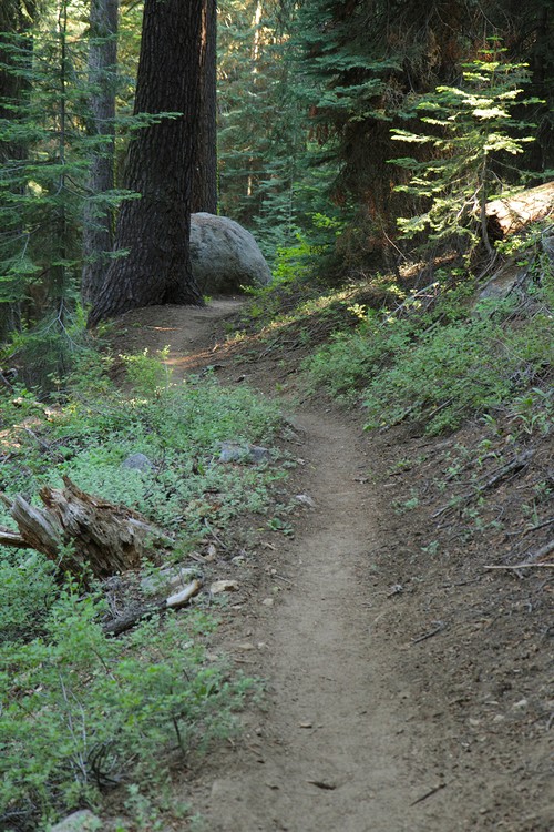 High Sierra Trail