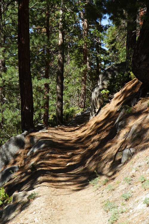 High Sierra Trail
