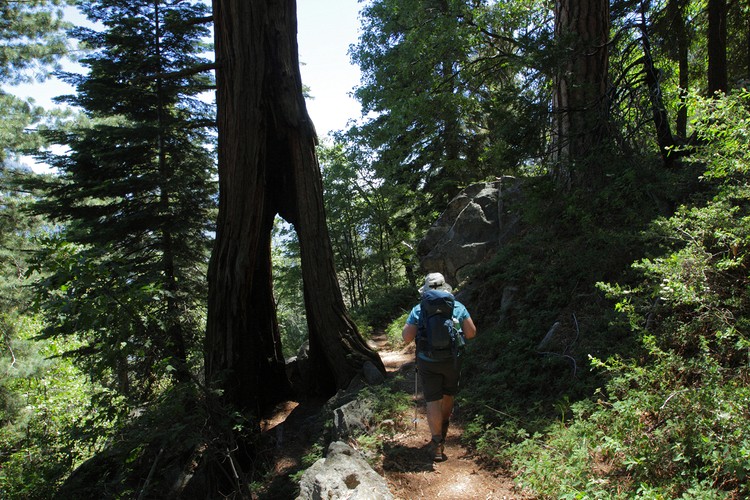 High Sierra Trail