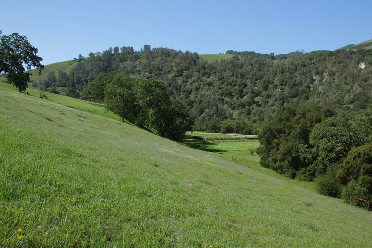Corral