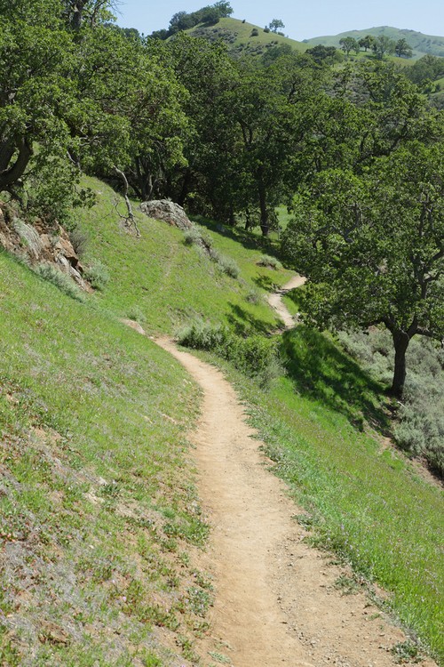 McKorkle Trail