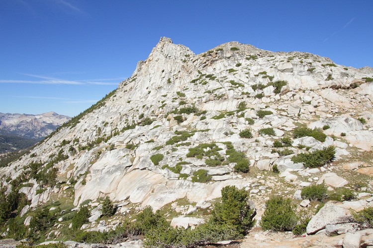 Vogelsang Peak (elev. 11,493')