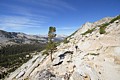 Vogelsang Pass Trail