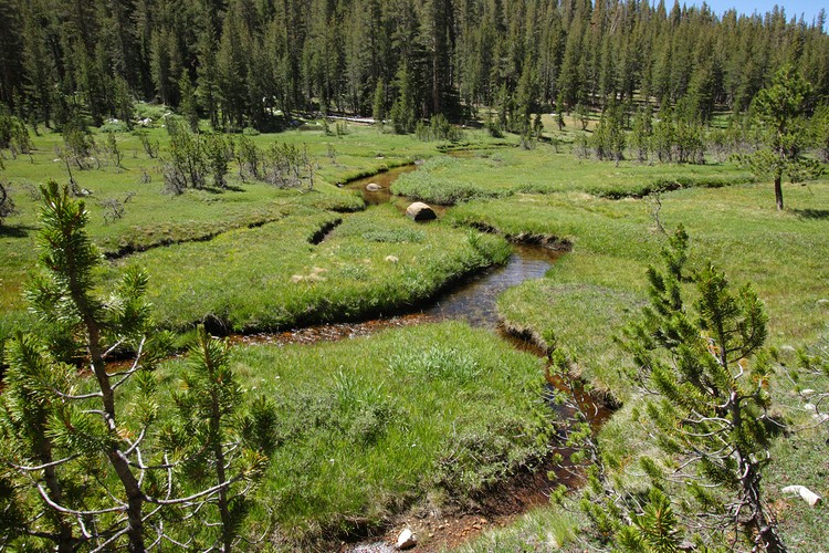 Lewis Creek