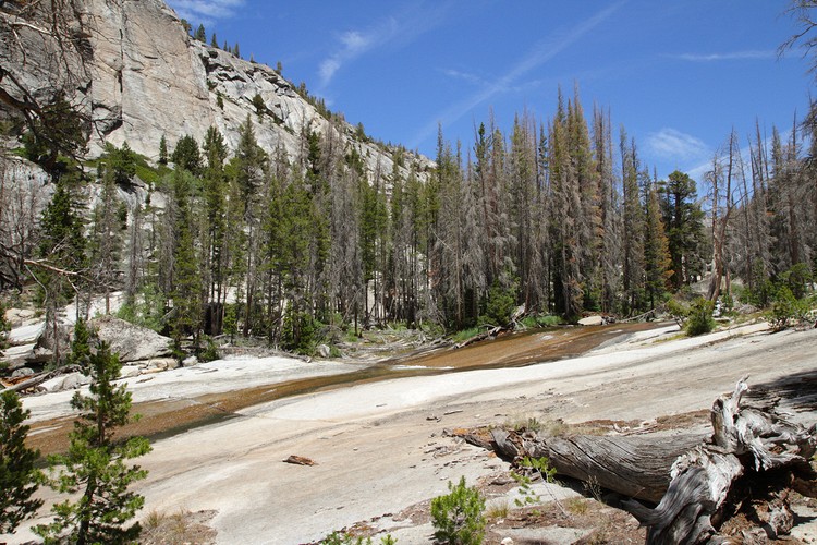 Lewis Creek