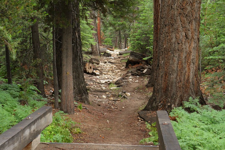 Merced River Trail