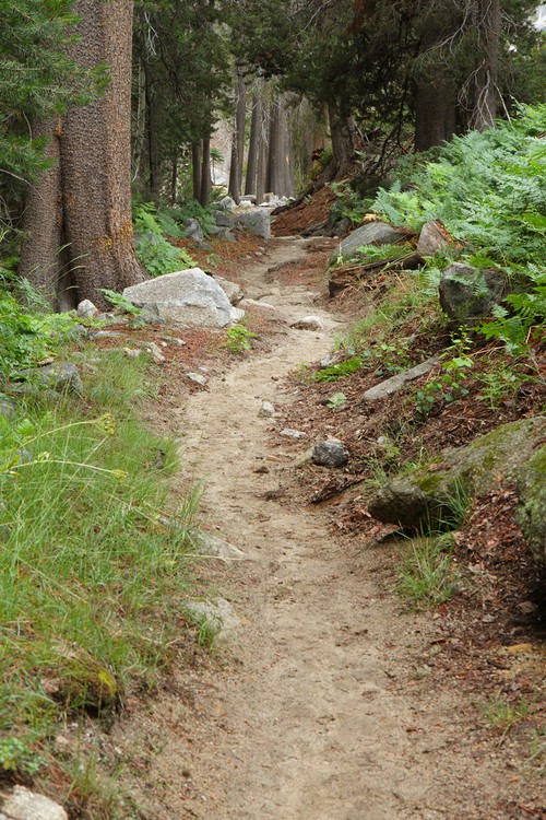 Merced River Trail