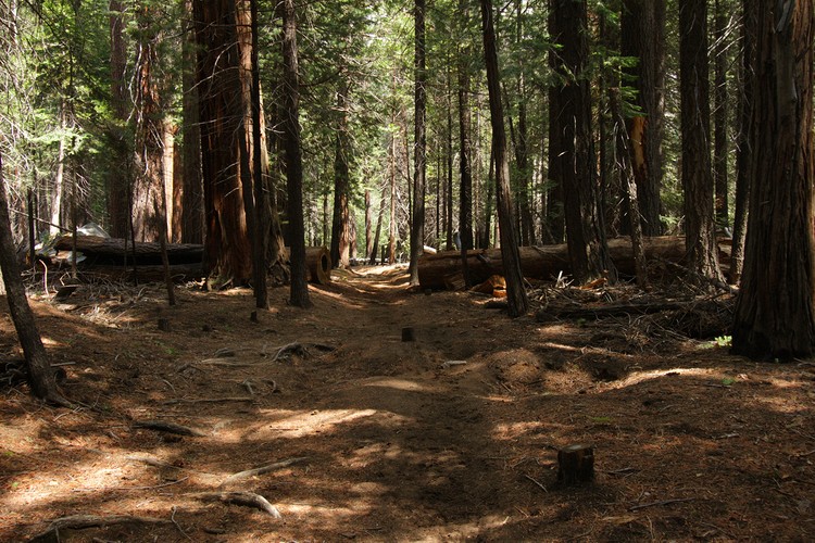 Merced River Trail in Lost Valley