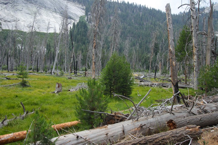 Little Yosemite Valley