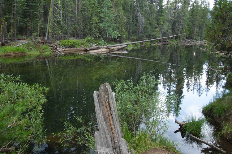 Merced River in Little Yosemite Valley
