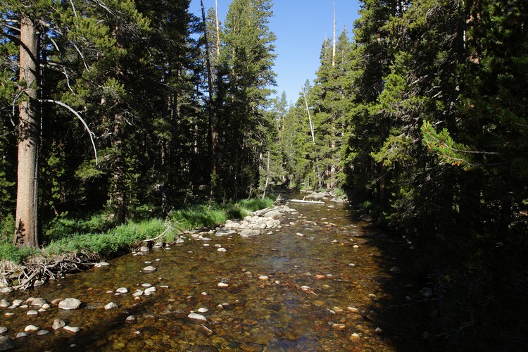 Dana Fork of the Tuolumne River