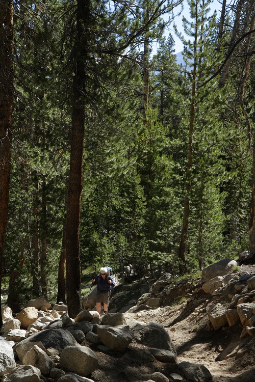 Diane works her way up the Rafferty Creek Trail