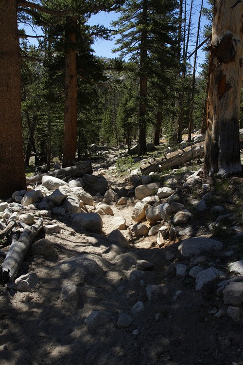 Rafferty Creek Trail