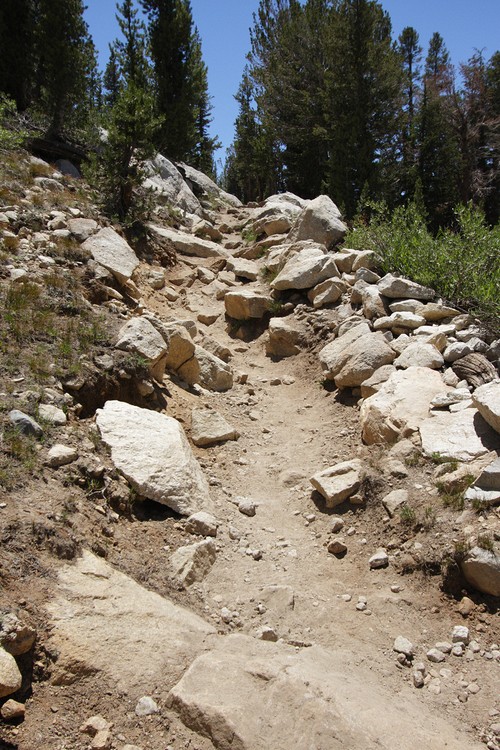 Vogelsang Pass Trail