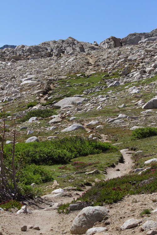 Vogelsang Pass Trail