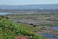 Alameda Creek marshes