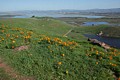 Coyote Hills Regional Park - February 22, 2015