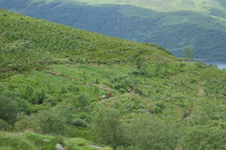 Ben Lomond Hill Path