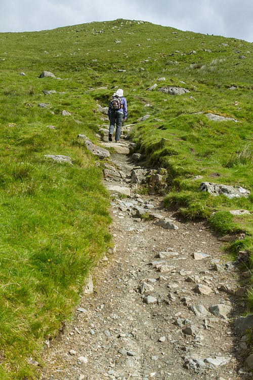 Ben Lomond Hill Path