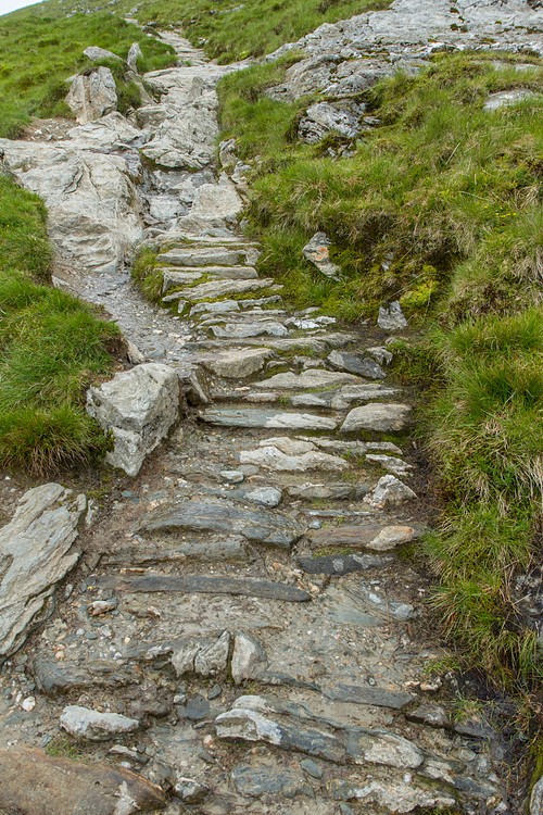 Ben Lomond Hill Path