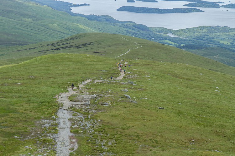 Ben Lomond Hill Path