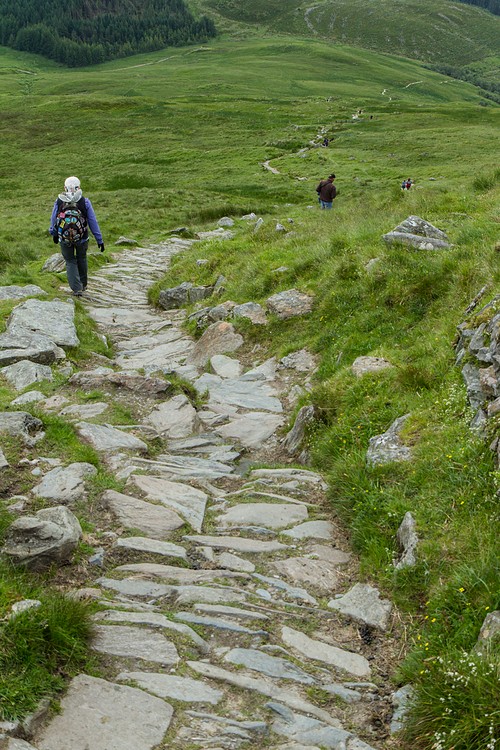Ben Lomond Hill Path