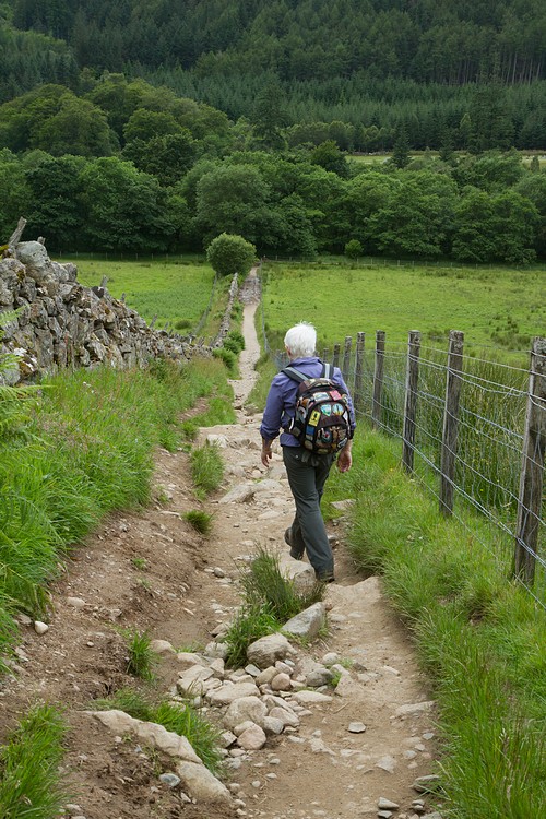 Ben Nevis Mountain Track
