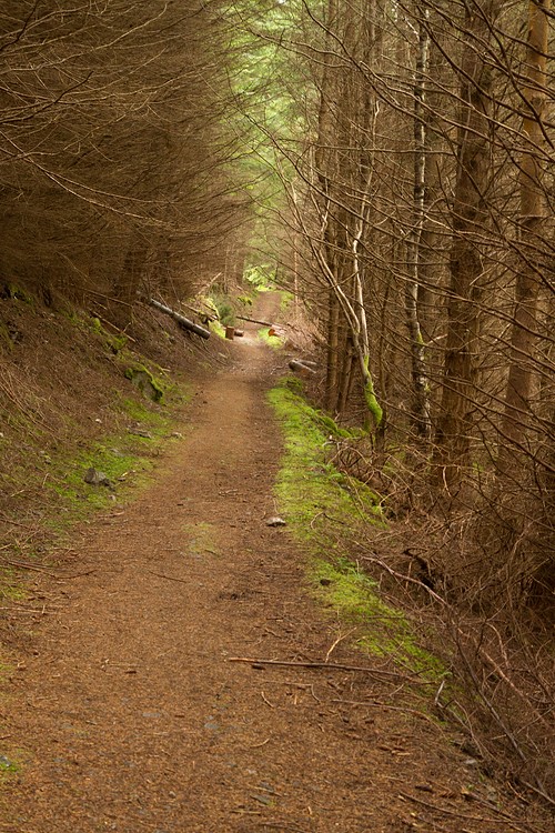 Lochan Torr an Tuill Trail