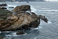 Point Lobos