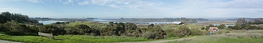 Elkhorn Slough Panorama