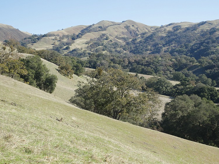 Sunol Regional Park