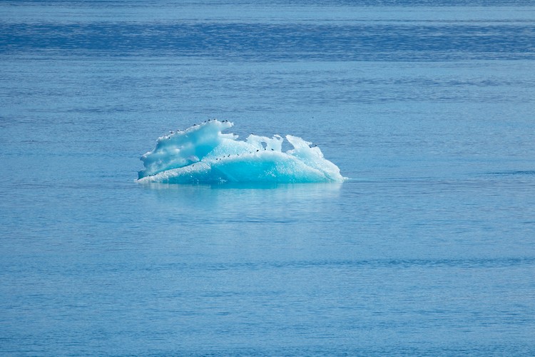 Iceburg