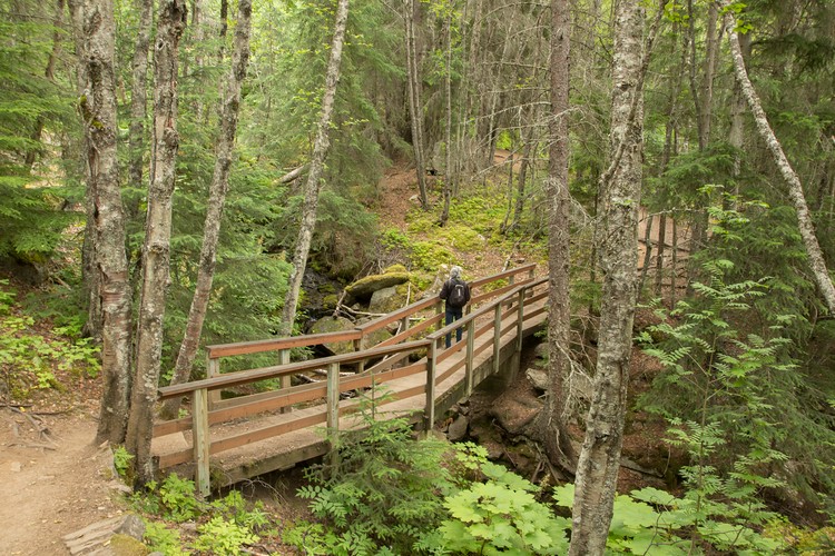 Bridge over Dewey Creek