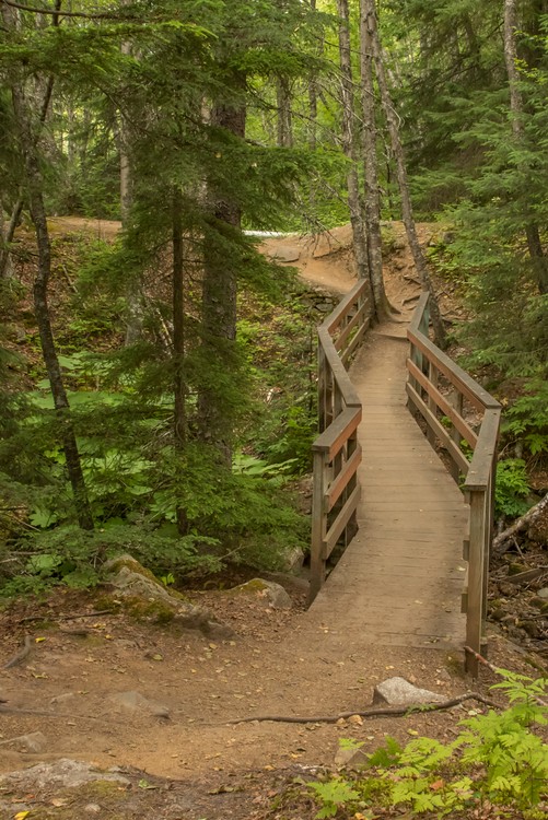 Lower Dewey Lake Trail