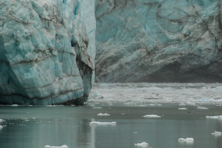 Margerie Glacier
