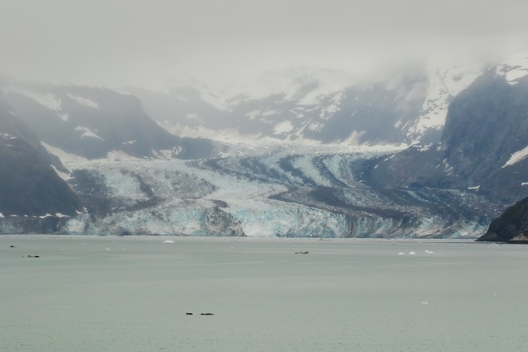 Johns Hopkins Glacier
