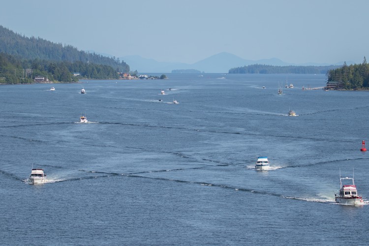 The fishing fleet returns