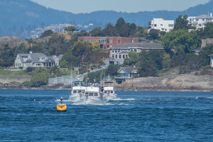 Fishing boats leaving Victoria