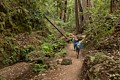 Berry Creekm Falls Trail