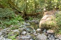 Skyline-to-the-Sea Trail