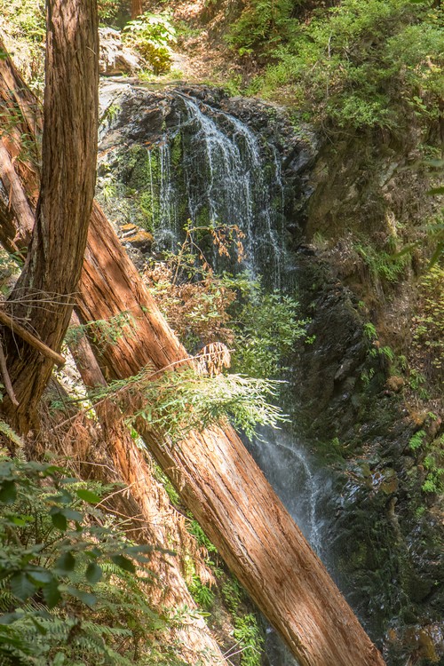 Berry Creek Falls