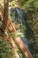 Berry Creek Falls