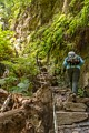 Berry Creek Falls Trail