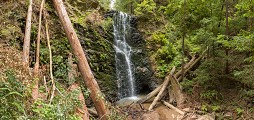 Berry Creek Falls