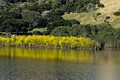 Coyote Hills