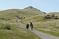 Mission Peak Trail