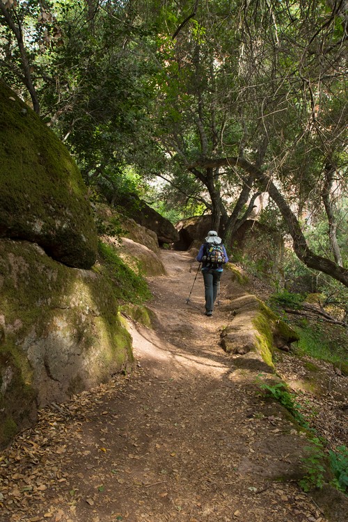 Diane finds some shade