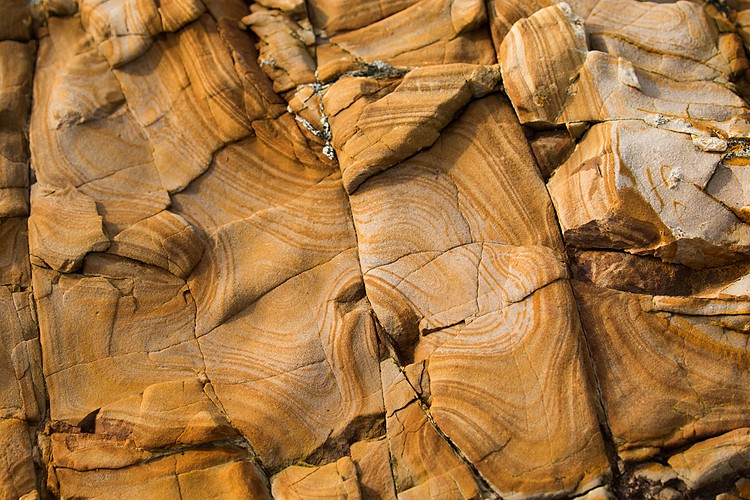 Sandstone - Point Arena