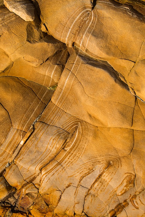 Sandstone - Point Arena